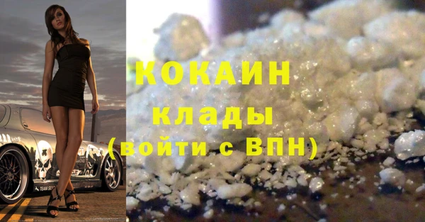 стаф Богородицк